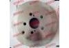 Brake Disc:42431-0M020